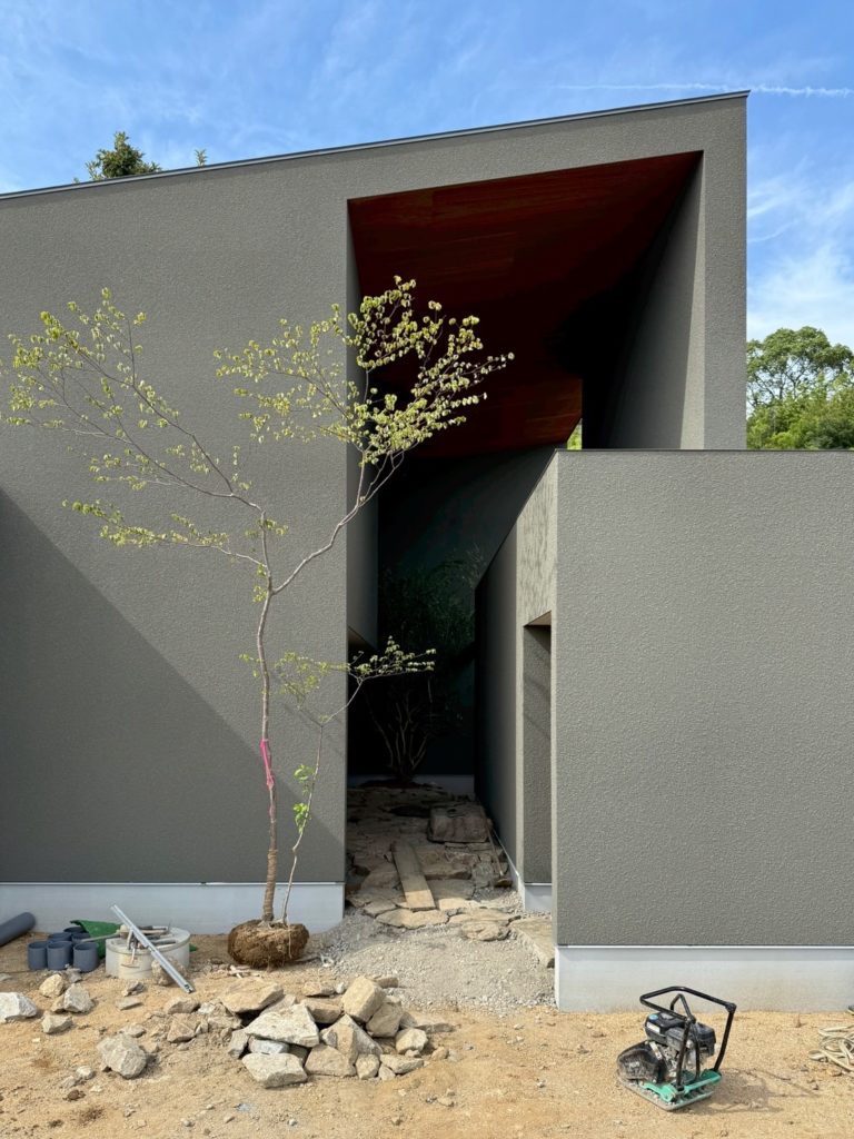 木々のマリアージュ