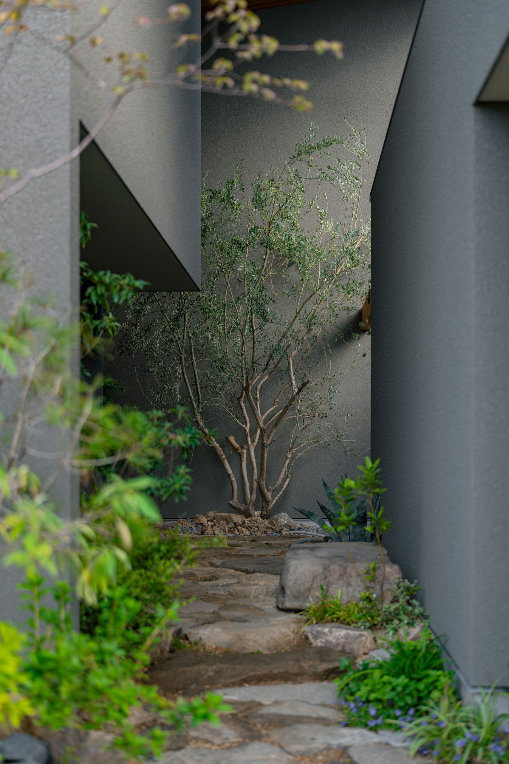 風景へとほどけていくアプローチ